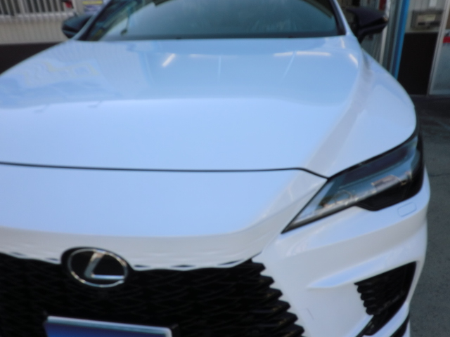 レクサス/ＲＸ（LLサイズ）